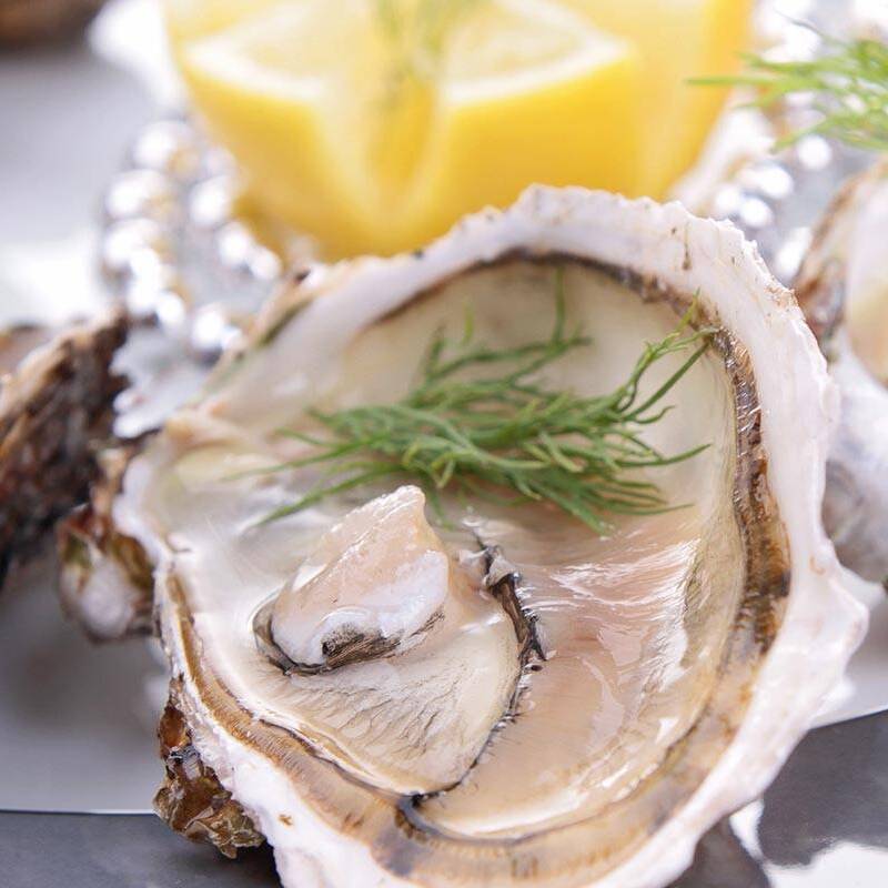 Huître fraîchement ouverte sur son lit de coquille nacrée, garnie d'aneth, avec un quartier de citron jaune vif en fond.